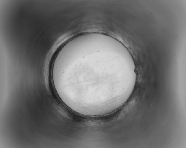 X0000086900199200705141649