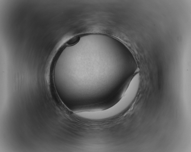 X0000086900200200705141649