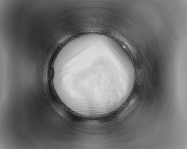 X0000086900203200705141649