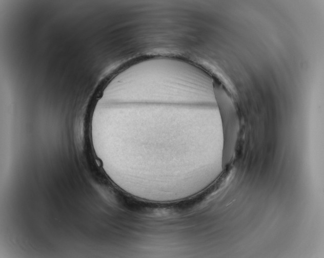 X0000086900204200705141649