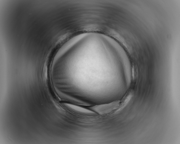 X0000086900205200705141649