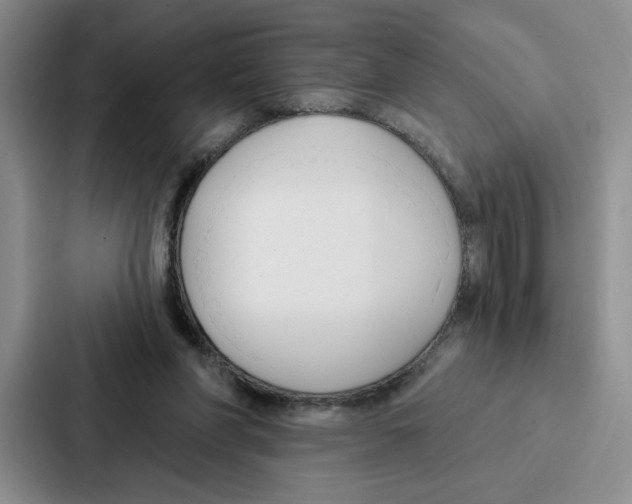 X0000086900206200705141649