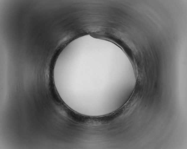 X0000086900207200705141649