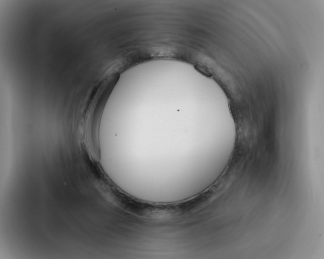 X0000086900209200705141649