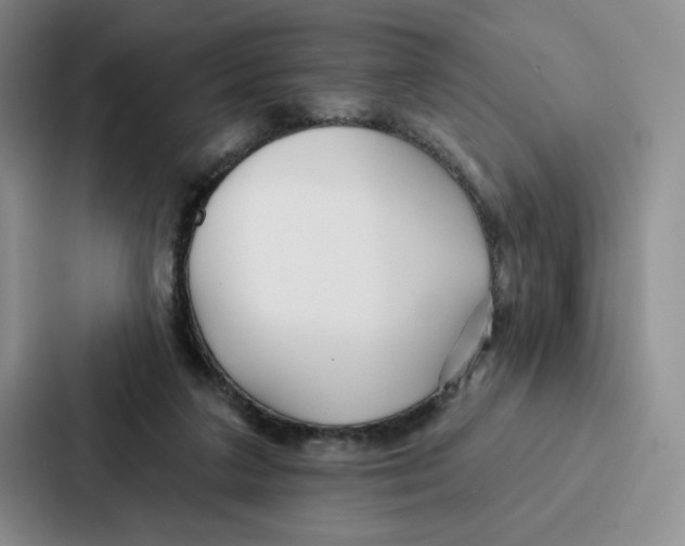 X0000086900211200705141649