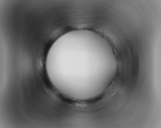 X0000086900214200705141649