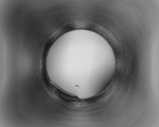 X0000086900215200705141649