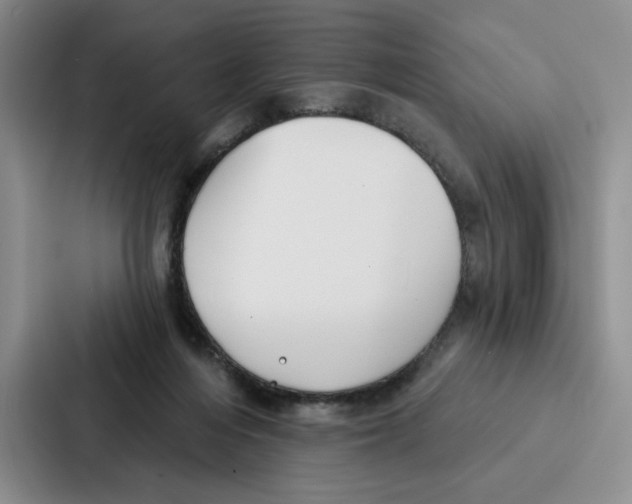 X0000086900216200705141649