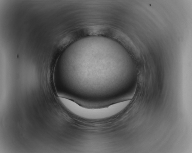 X0000086900219200705141649