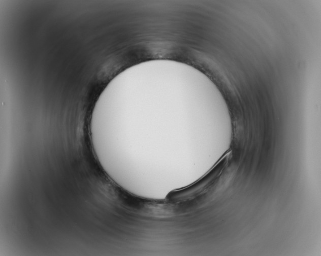 X0000086900221200705141649