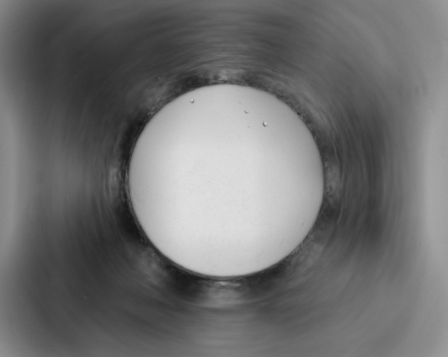 X0000086900222200705141649