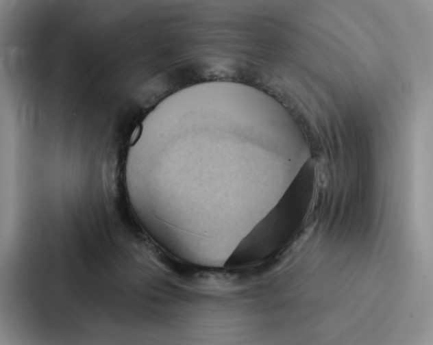 X0000086900223200705141649