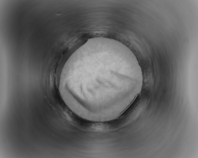 X0000086900231200705141649