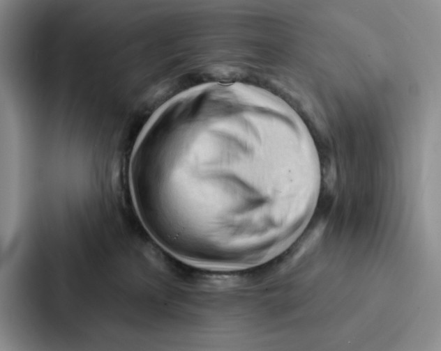 X0000086900233200705141649