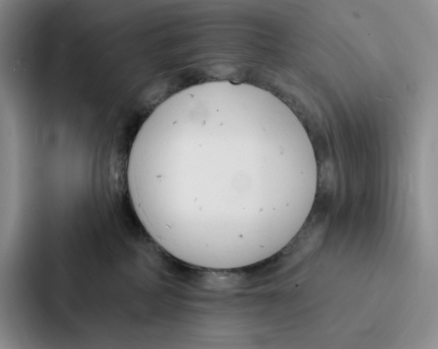 X0000086900234200705141649