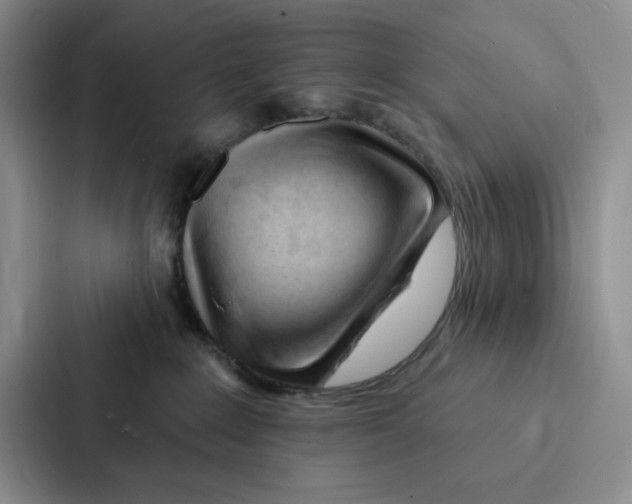 X0000086900235200705141649