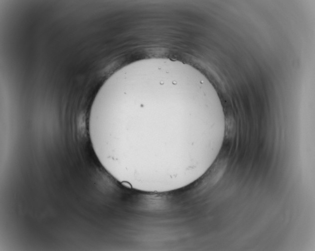 X0000086900238200705141649