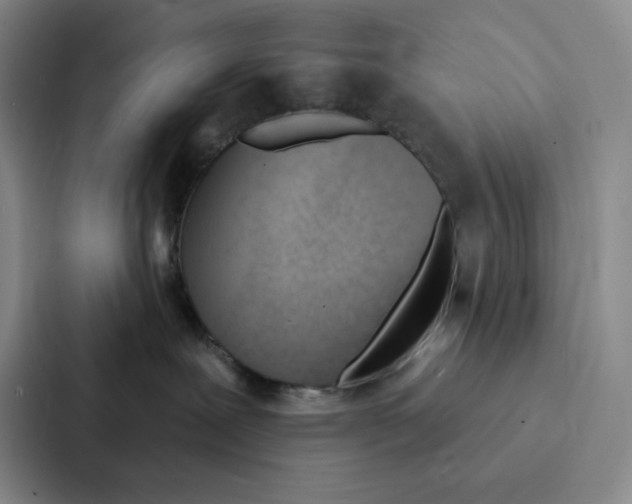 X0000086900239200705141649