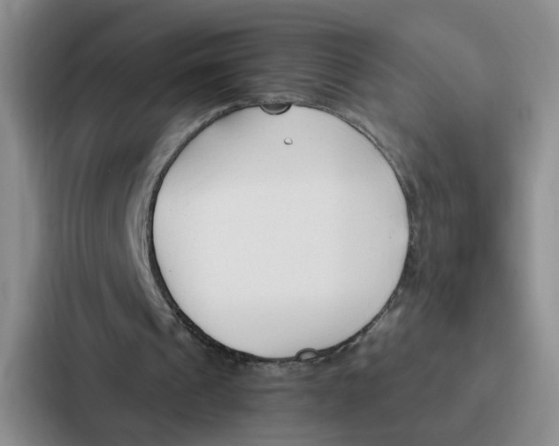 X0000086900241200705141648