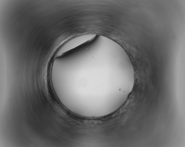 X0000086900242200705141648