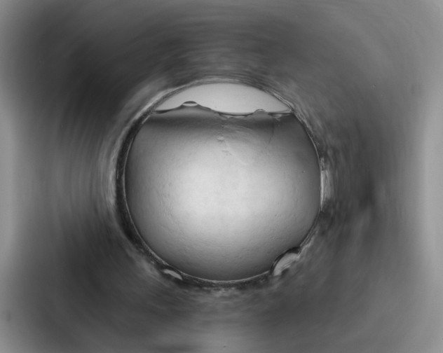 X0000086900243200705141648