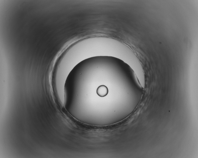 X0000086900244200705141648