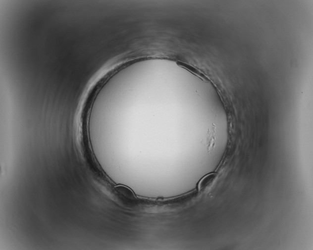 X0000086900246200705141648