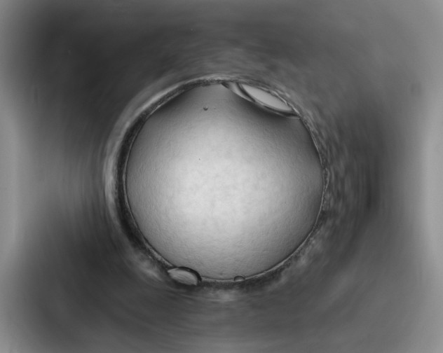 X0000086900247200705141648