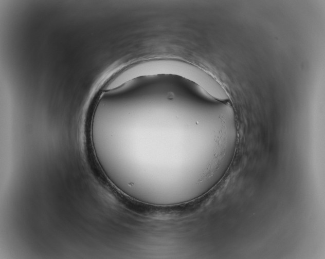 X0000086900248200705141648