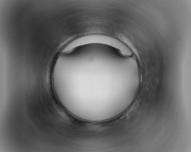 X0000086900249200705141648