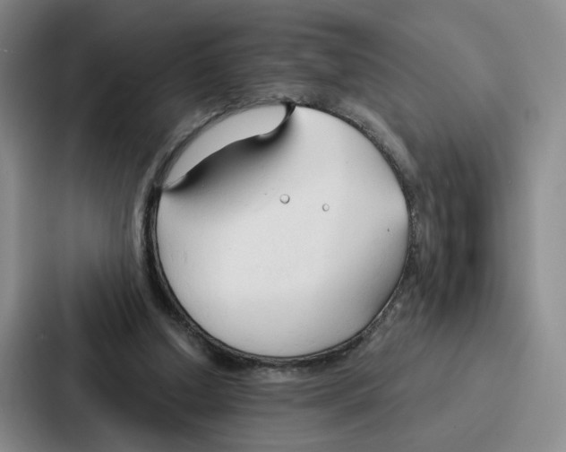 X0000086900250200705141648