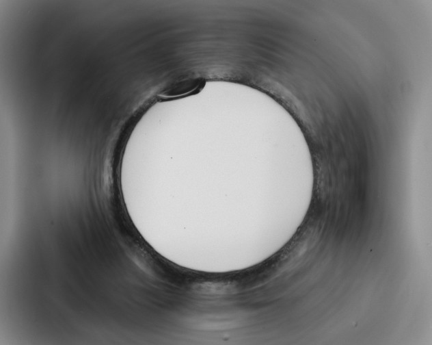 X0000086900251200705141648