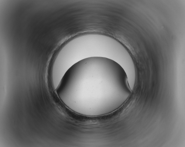 X0000086900252200705141648