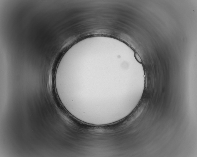 X0000086900253200705141648