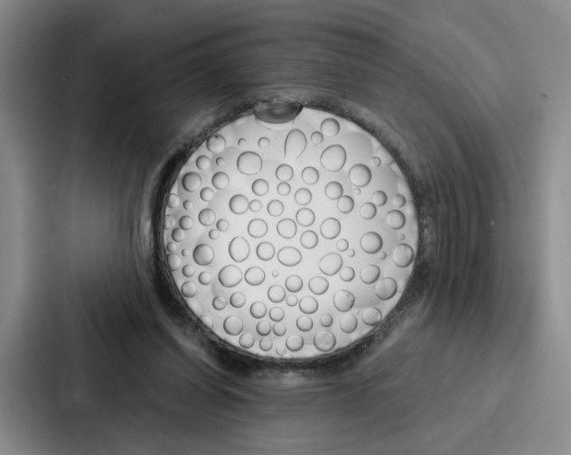 X0000086900254200705141648