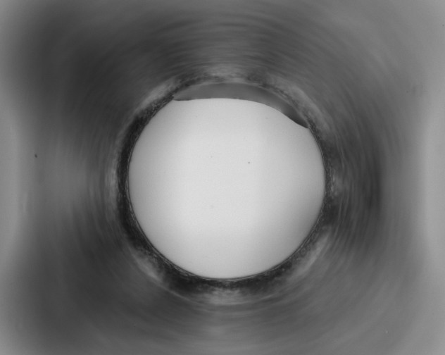 X0000086900256200705141648