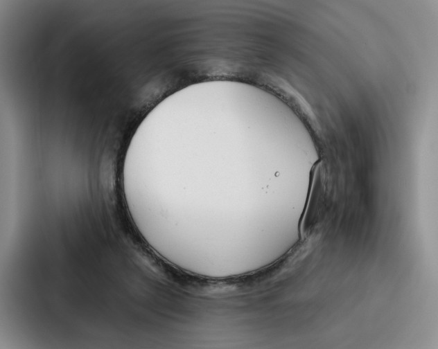 X0000086900257200705141648