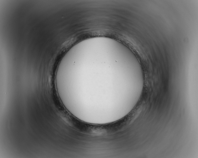 X0000086900258200705141648