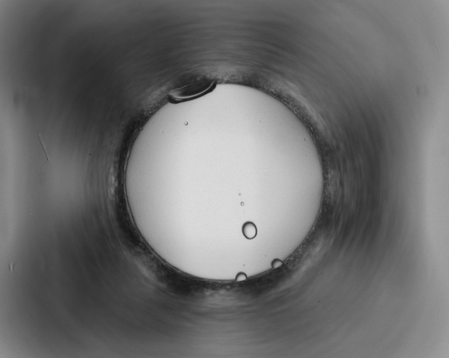 X0000086900259200705141648