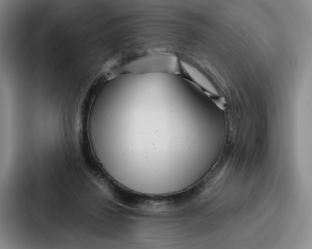 X0000086900260200705141648