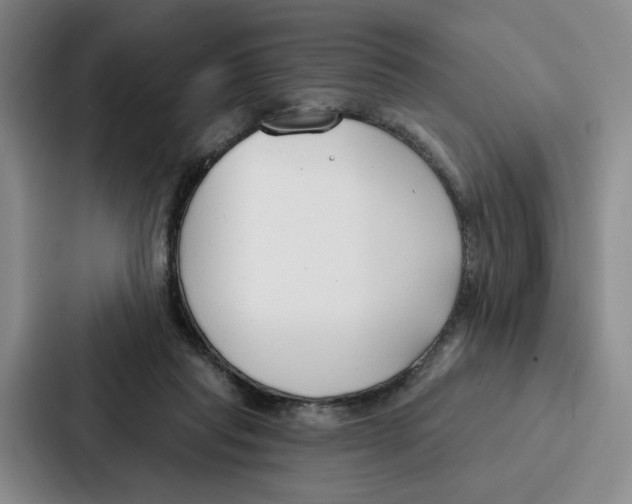 X0000086900261200705141648