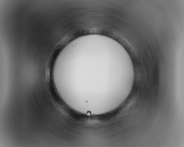 X0000086900262200705141648