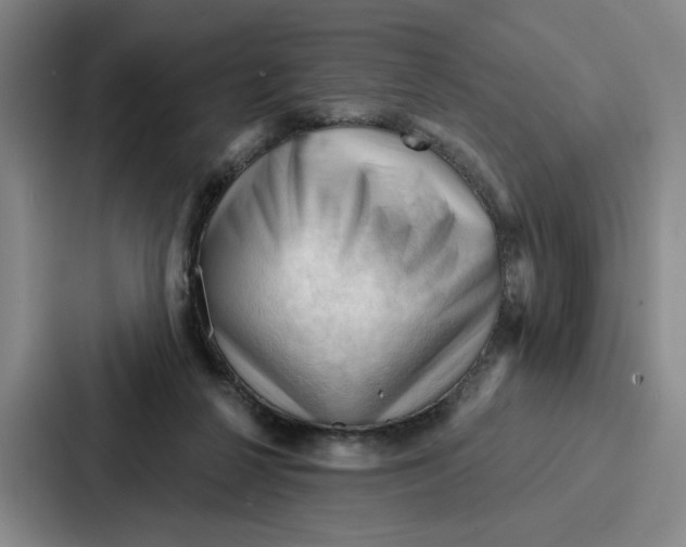 X0000086900264200705141648