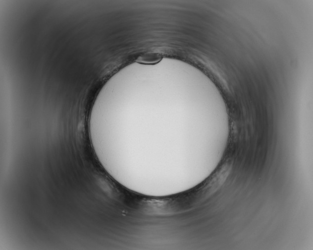 X0000086900265200705141648