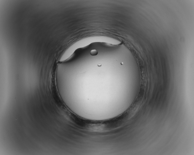 X0000086900266200705141648