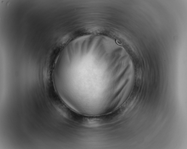 X0000086900268200705141648