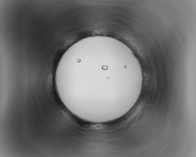 X0000086900269200705141648