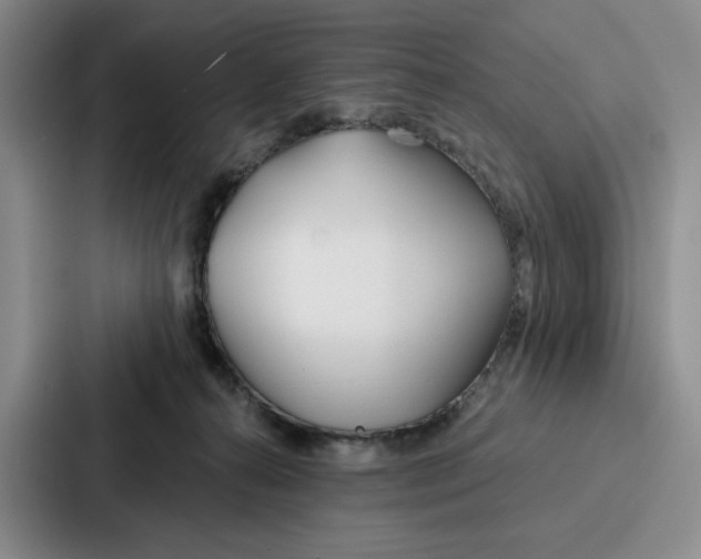 X0000086900272200705141648