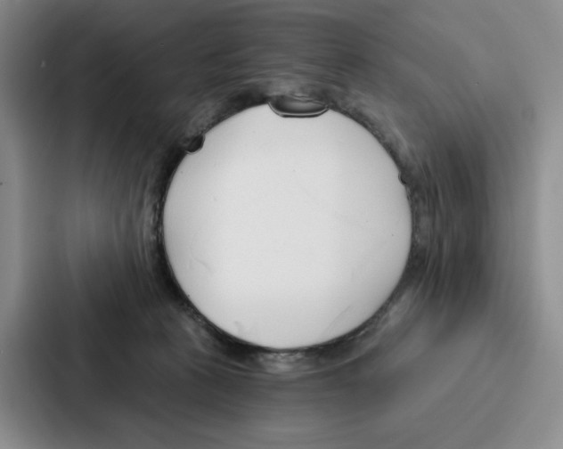 X0000086900273200705141648