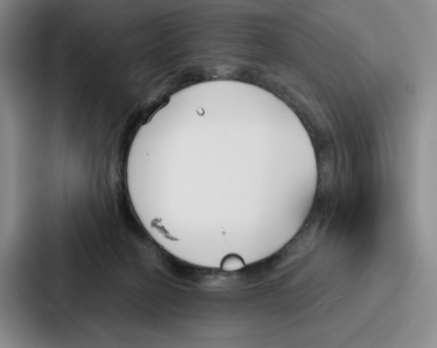 X0000086900274200705141648